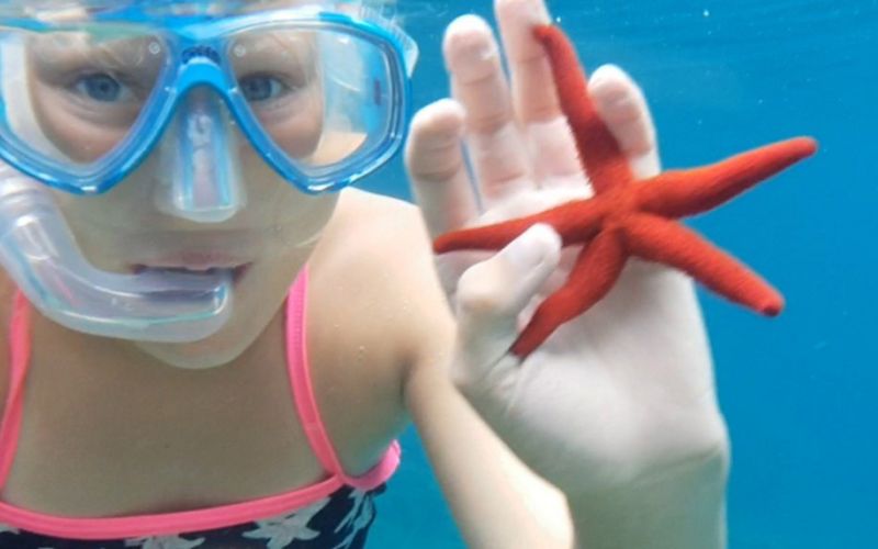 Schnorcheln in Cala Pi – Unterwasserwelt hautnah erleben