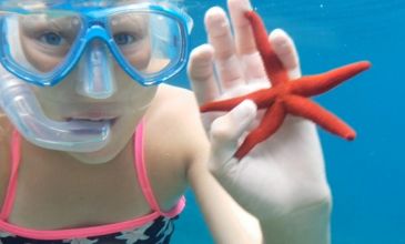 Snorkeling à Cala Pi – Découvrez le monde sous-marin de près
