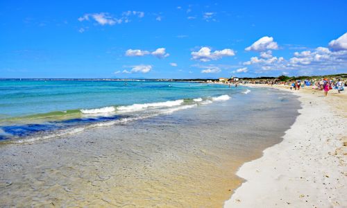 Es Trenc – Der schönste Sandstrand Mallorcas