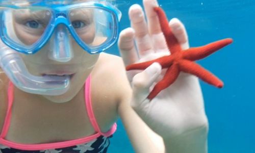 Schnorcheln in Cala Pi – Unterwasserwelt hautnah erleben